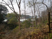 thumb_150320111862.jpg