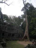 thumb_180320111982.jpg