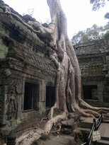 thumb_180320111985.jpg