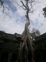 thumb_180320111986.jpg