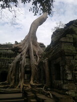 thumb_180320111988.jpg