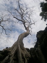thumb_180320111989.jpg