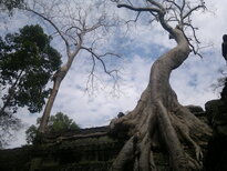 thumb_180320111990.jpg
