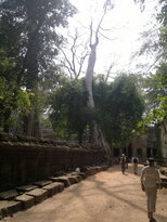 thumb_180320111994.jpg