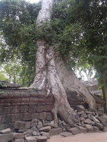 thumb_180320111995.jpg