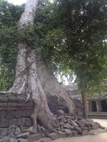 thumb_180320111996.jpg