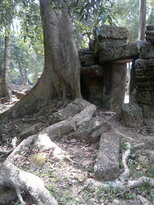 thumb_180320112002.jpg