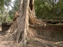 thumb_180320112003.jpg
