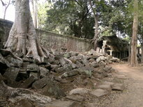 thumb_180320112004.jpg