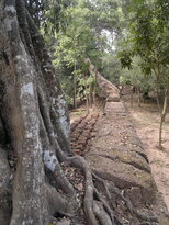thumb_180320112011.jpg