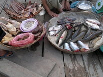 thumb_190320112037.jpg