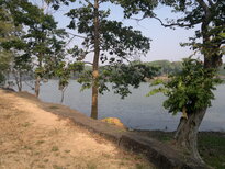 thumb_200320112042.jpg