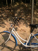 thumb_200320112053.jpg