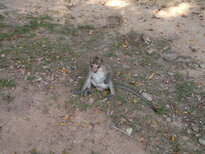 thumb_200320112054.jpg