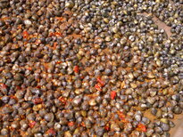 thumb_200320112056.jpg