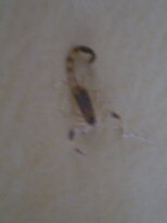 thumb_210320112059.jpg