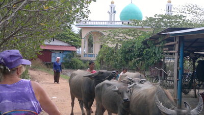 thumb_25032011004.jpg