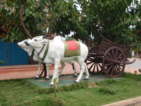 thumb_2011-Camera_103.jpg