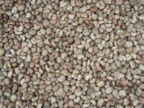 thumb_2011-Camera_118.jpg