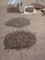 thumb_2011-Camera_119.jpg