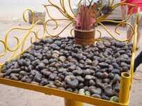 thumb_2011-Camera_121.jpg