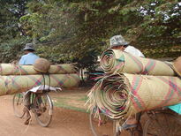 thumb_2011-Camera_137.jpg