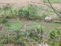 thumb_2011-Camera_140.jpg