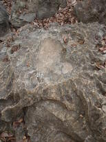 thumb_2011-Camera_142.jpg