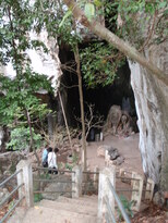 thumb_2011-Camera_143.jpg