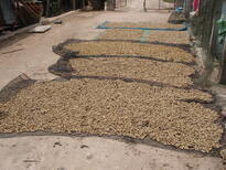 thumb_2011-Camera_158.jpg