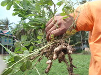 thumb_2011-Camera_159.jpg