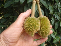 thumb_2011-Camera_165.jpg