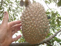thumb_2011-Camera_166.jpg