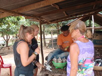 thumb_2011-Camera_168.jpg