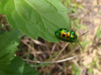 thumb_2011-Camera_178.jpg