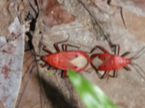 thumb_2011-Camera_186.jpg