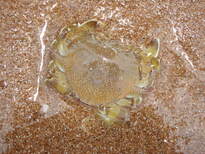 thumb_2011-Camera_189.jpg