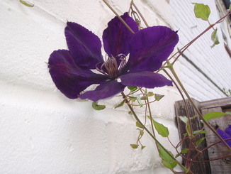 thumb_2011-05_050.jpg