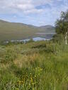 thumb_scotland_030.jpg
