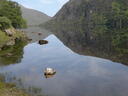 thumb_scotland_032.jpg