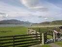 thumb_scotland_050.jpg