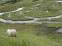 thumb_scotland_077.jpg