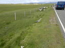 thumb_scotland_079.jpg