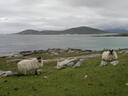 thumb_scotland_082.jpg