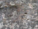 thumb_scotland_084.jpg