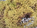 thumb_scotland_085.jpg