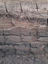 thumb_scotland_086.jpg