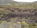 thumb_scotland_087.jpg