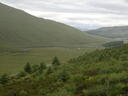 thumb_scotland_104.jpg