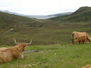 thumb_scotland_110.jpg
